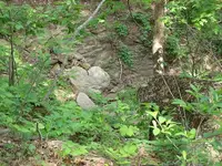 eagle heart resized.webp