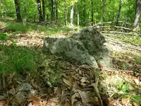 notched triangle rock 2 resized.webp