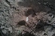 post-14-0-38296000-1334541033_thumb.webp post-14-0-38296000-1334541033_thumb.webp