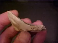 flintsharp3.webp