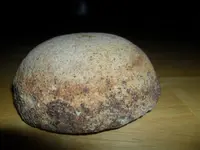 Bob's clay lid #3.webp