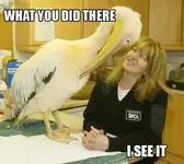 what-you-did-there-i-see-it.webp