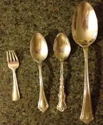 shiney 005.webp