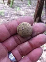 buttonday.................webp
