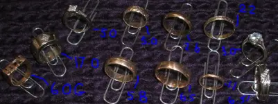 weighed rings.webp