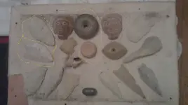 IMAG0838.webp
