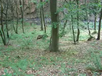 middle view .webp