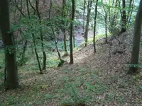 right view.webp