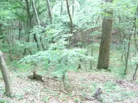 further left view.webp