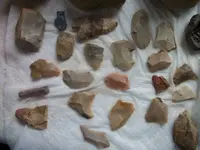 100_4881.webp