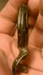 IMAG0219-1.webp