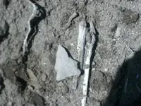 in situ 005 (1024x768).webp
