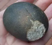 Rock 003.webp