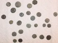 25 coins.webp