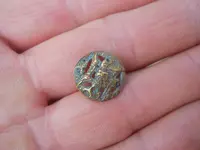 T Coast find 1.webp
