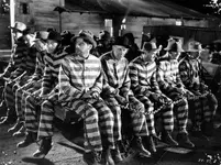 Chain Gang Photo.webp Chain Gang Photo.webp