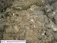 DSCF1351.webp