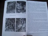 Mystery Christian Crosses 001.webp