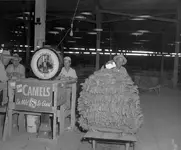 tobacco cart.webp