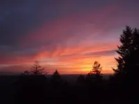 bear trip 068.webp