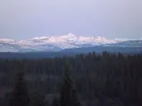 bear trip 017.webp