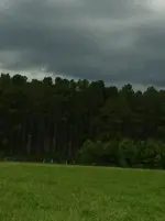 181365_2174044448382_1113476910_n.webp