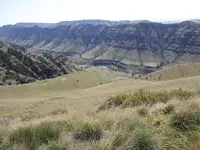 bear trip 038.webp