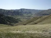 bear trip 035.webp