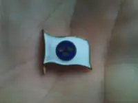 pin.webp
