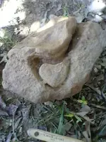 0417121220[1].webp
