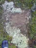 0415121919[1].webp