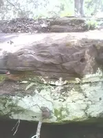 0415121554a[1].webp