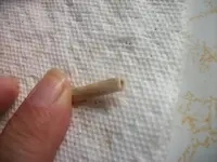 100_5243.webp