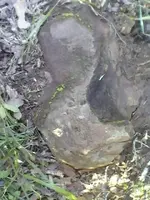 0417121802a[1].webp