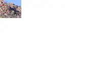 2c.webp