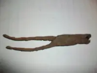 100_4713.webp