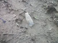 100_5252.webp