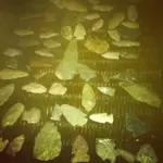 image-511224878.webp