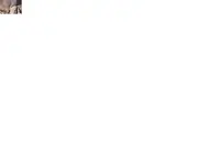 2e.webp