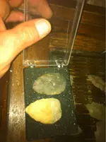 image-3066905750.webp