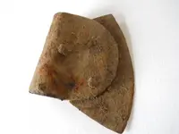 DSCN1754.webp
