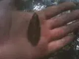 04-26-12_1520.webp