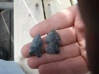 DSCF0040.webp