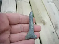 DSCF0048.webp