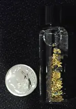 gold.webp