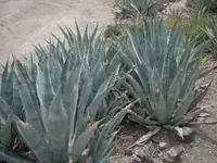 DSCN3818.webp