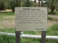 DSCN3829.webp