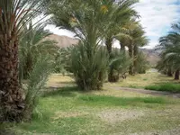 DSCN3831.webp