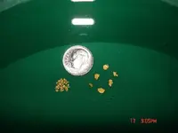 brite coin.webp