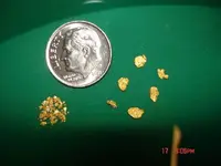 detail coin.webp